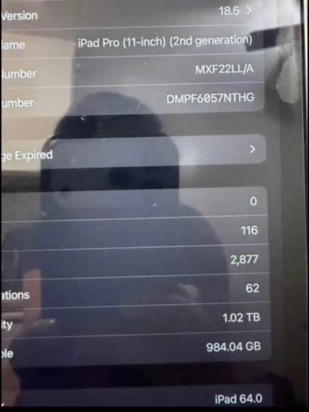Apple iPad Pro 1TB Wifi and Cellular